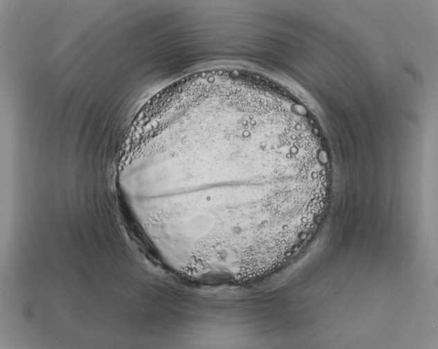 X0000114200953200911061421