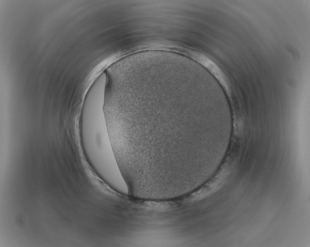 X0000114200954200911061421