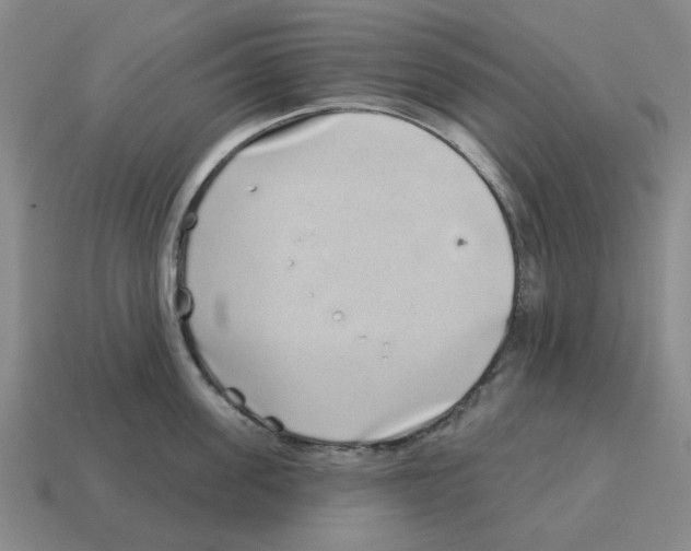 X0000114200955200911061421