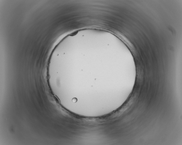 X0000114200956200911061421