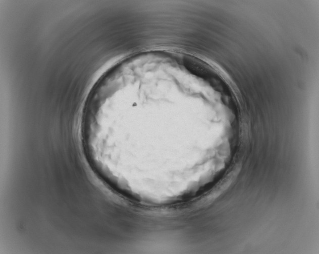 X0000114200957200911061422