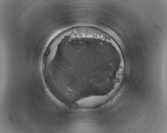 X0000114200958200911061422