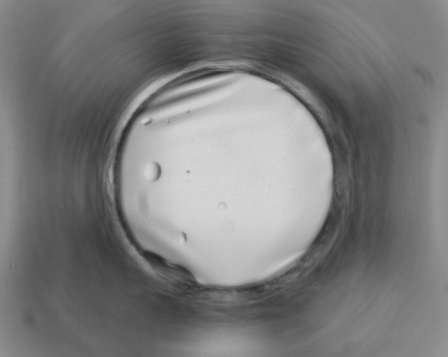 X0000114200959200911061422