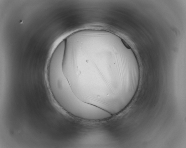 X0000114200960200911061422