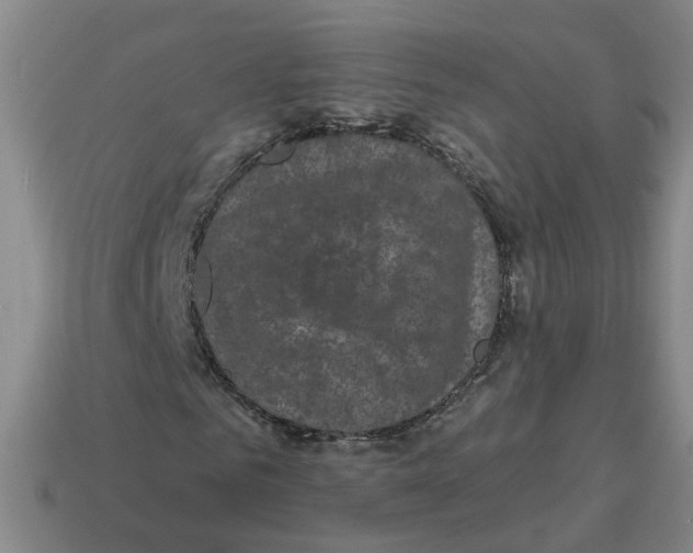 X0000114200961200911061421