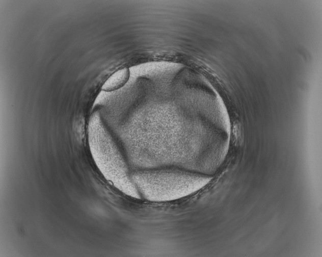 X0000114200963200911061421