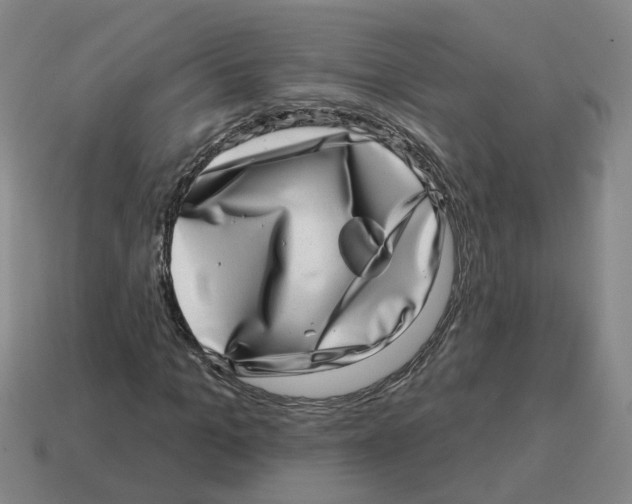 X0000114200965200911061421