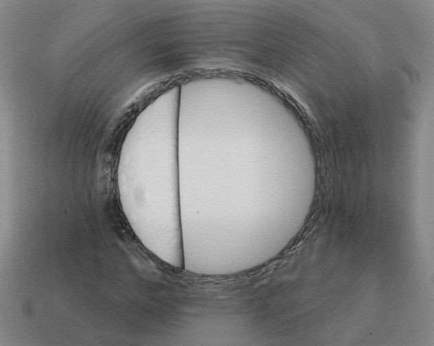 X0000114200968200911061421