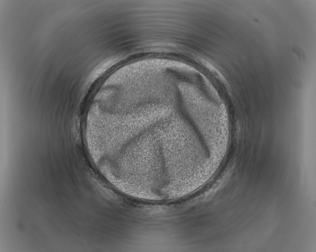 X0000114200970200911061421