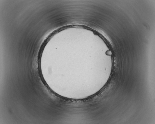 X0000114200972200911061421