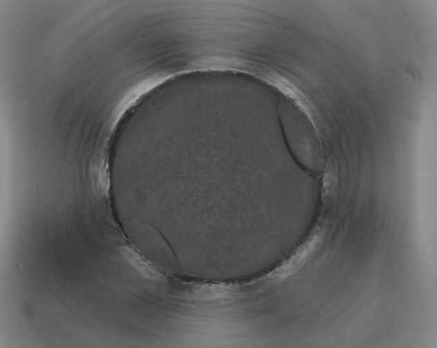 X0000114200973200911061421