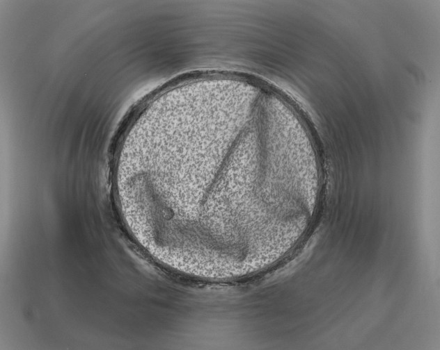 X0000114200974200911061421