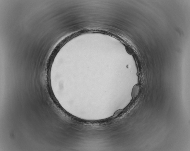 X0000114200976200911061421