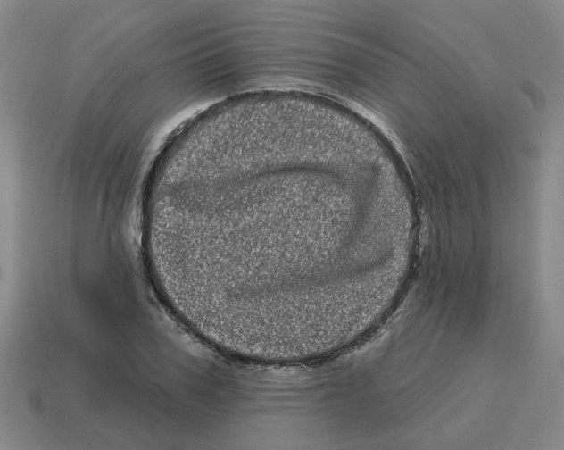 X0000114200979200911061421