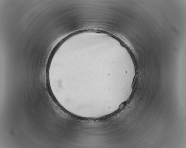 X0000114200980200911061421