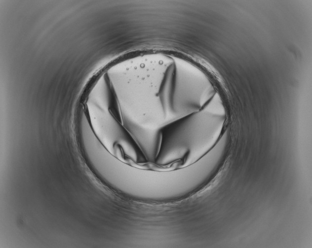 X0000114200981200911061421