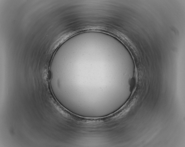 X0000114200985200911061421