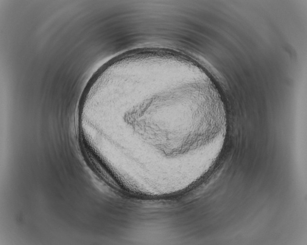 X0000114200988200911061421