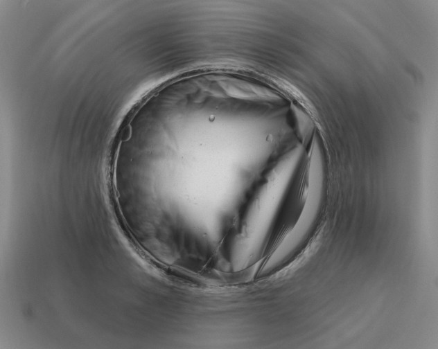 X0000114200989200911061421