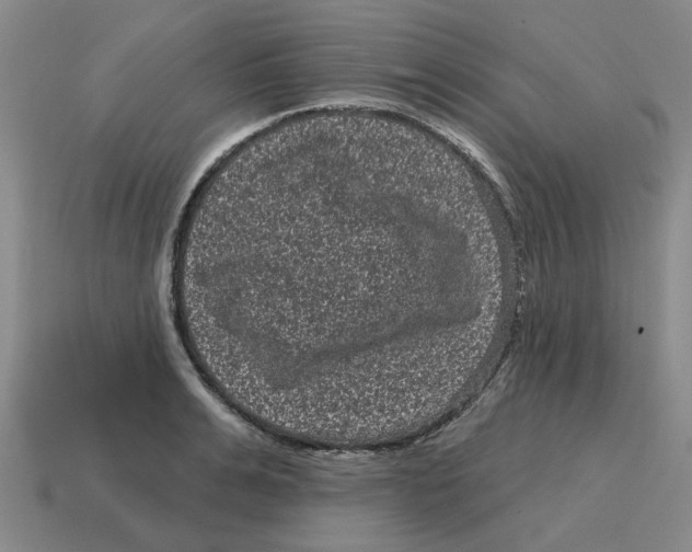 X0000114200991200911061421