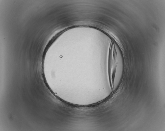 X0000114200992200911061421