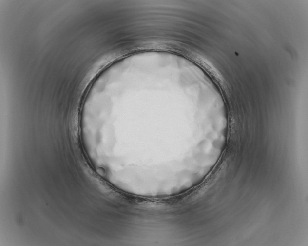 X0000114200994200911061420