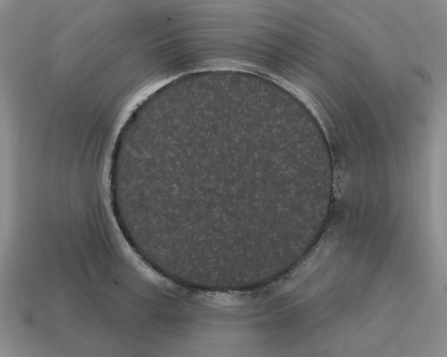 X0000114200995200911061420