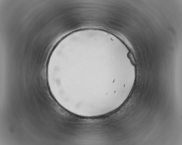 X0000114200996200911061420