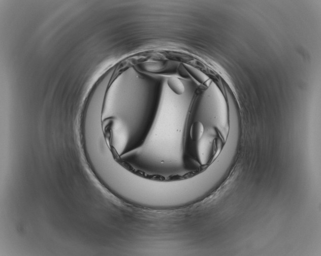 X0000114200997200911061420