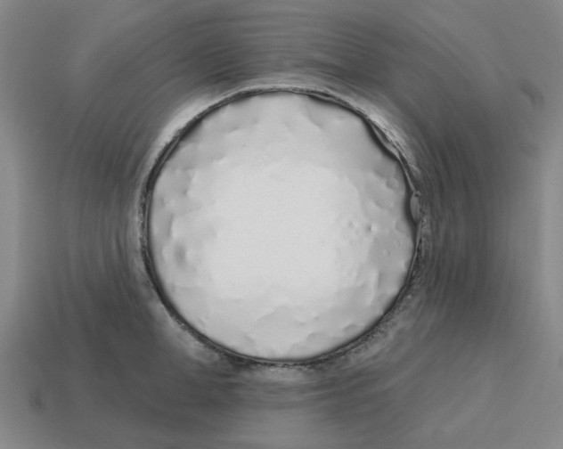 X0000114200998200911061420