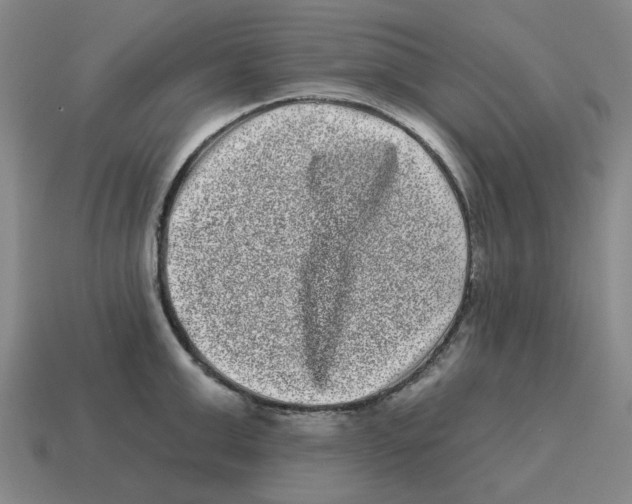 X0000114200999200911061420