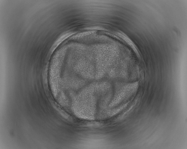 X0000114201002200911061420