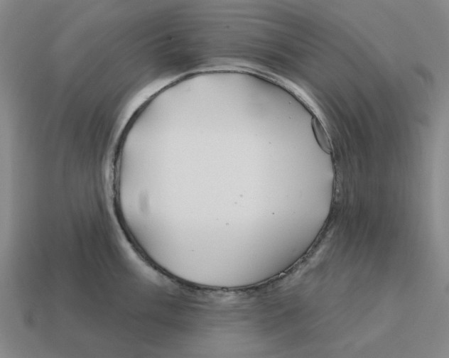 X0000114201003200911061420