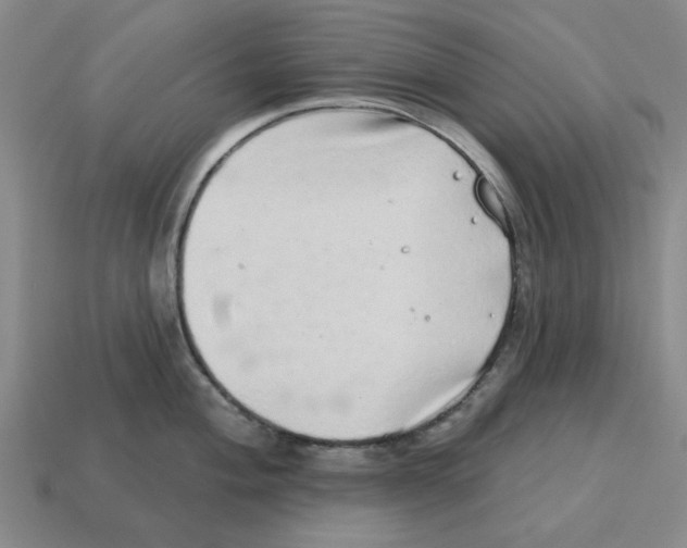 X0000114201004200911061420