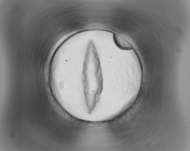 X0000114201008200911061420