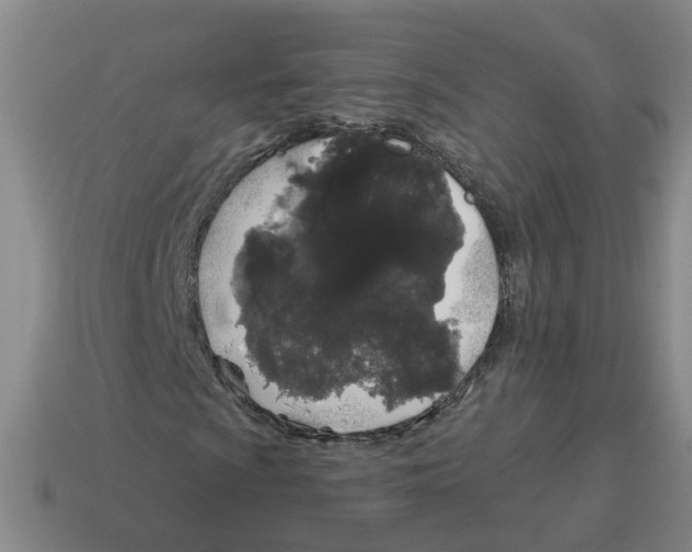 X0000114201009200911061420