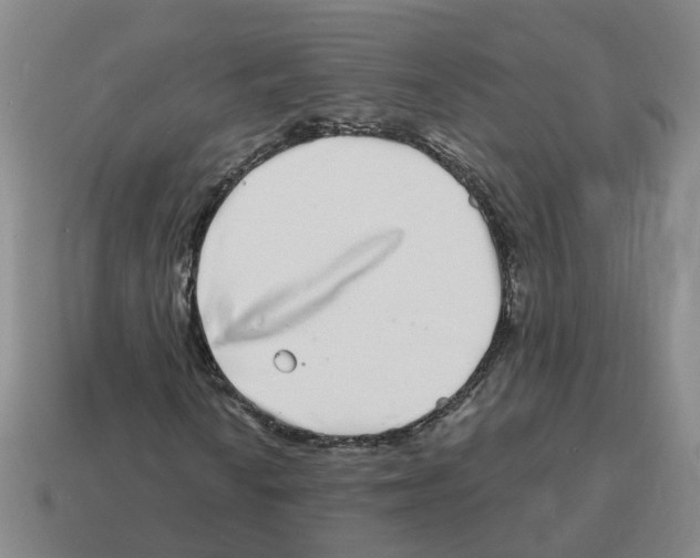 X0000114201010200911061420