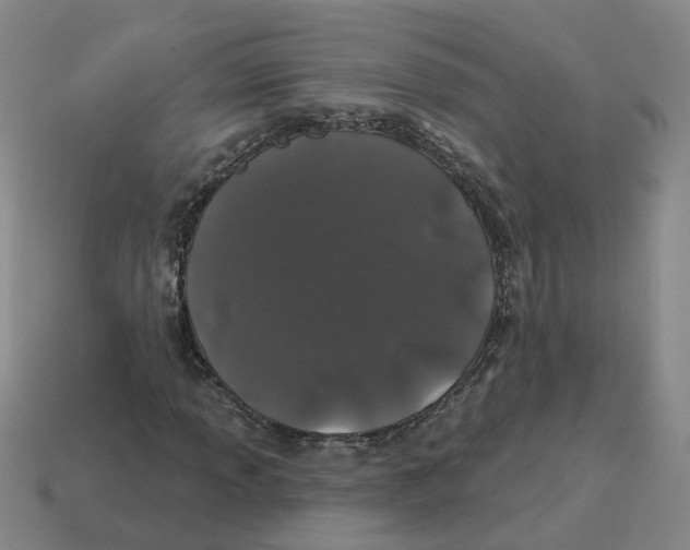 X0000114201013200911061420