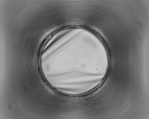 X0000114201018200911061420