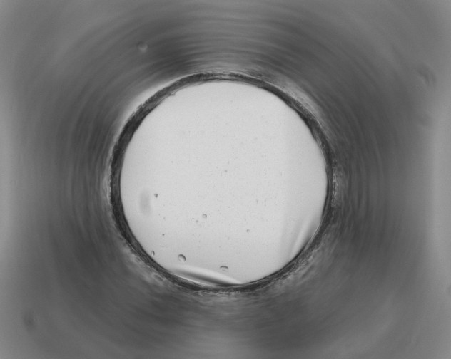 X0000114201020200911061420