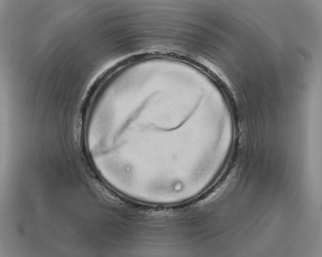 X0000114201021200911061420