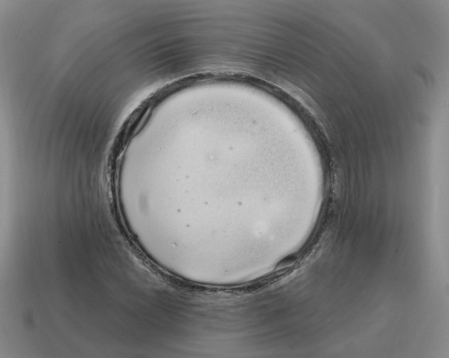 X0000114201022200911061420