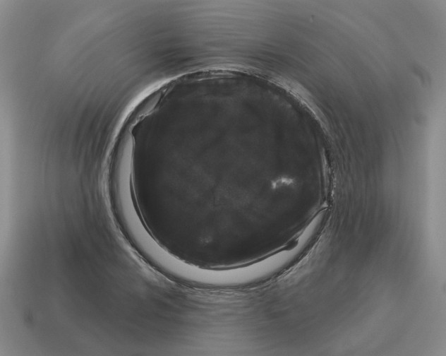 X0000114201024200911061420