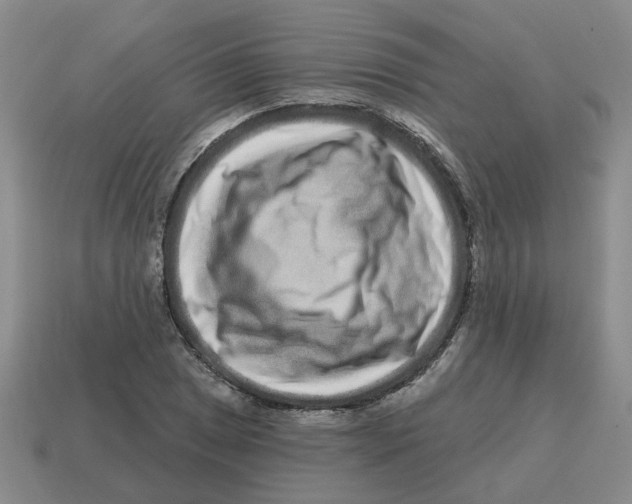 X0000114201025200911061420