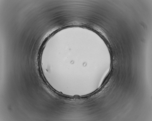 X0000114201026200911061420