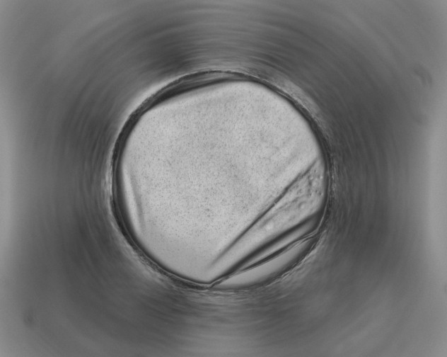 X0000114201028200911061420