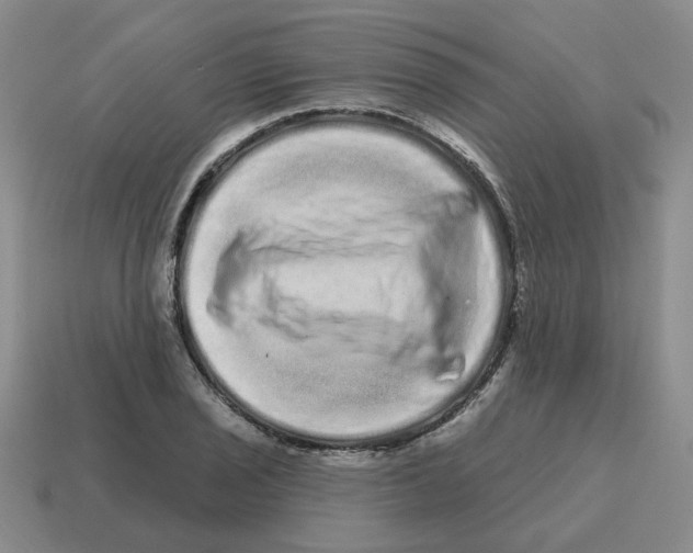 X0000114201029200911061420