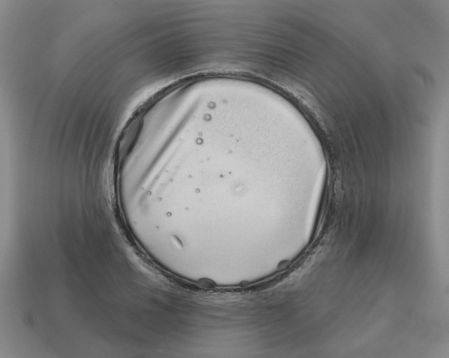 X0000114201030200911061420