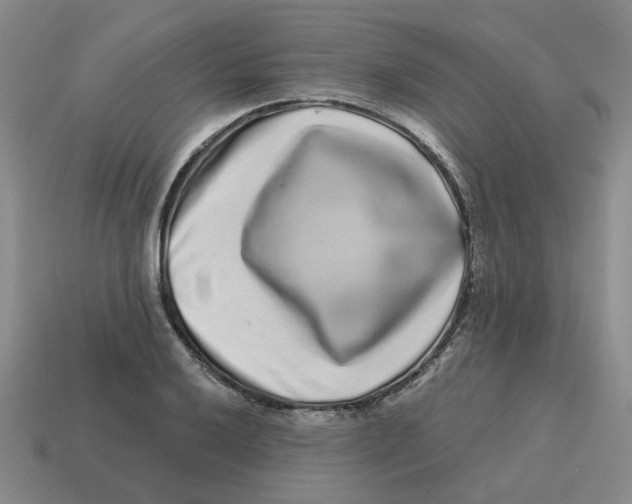 X0000114201032200911061420