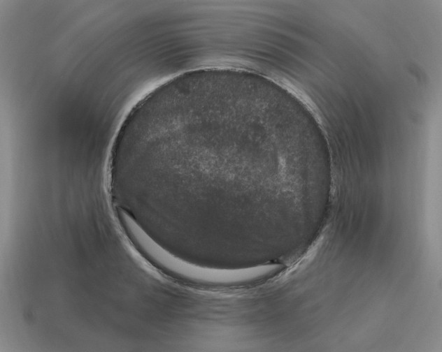 X0000114201037200911061420